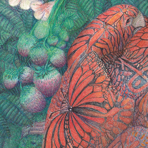 Plumwood Mountain image